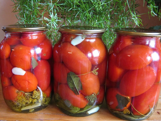 Польза кабачка и помидорами